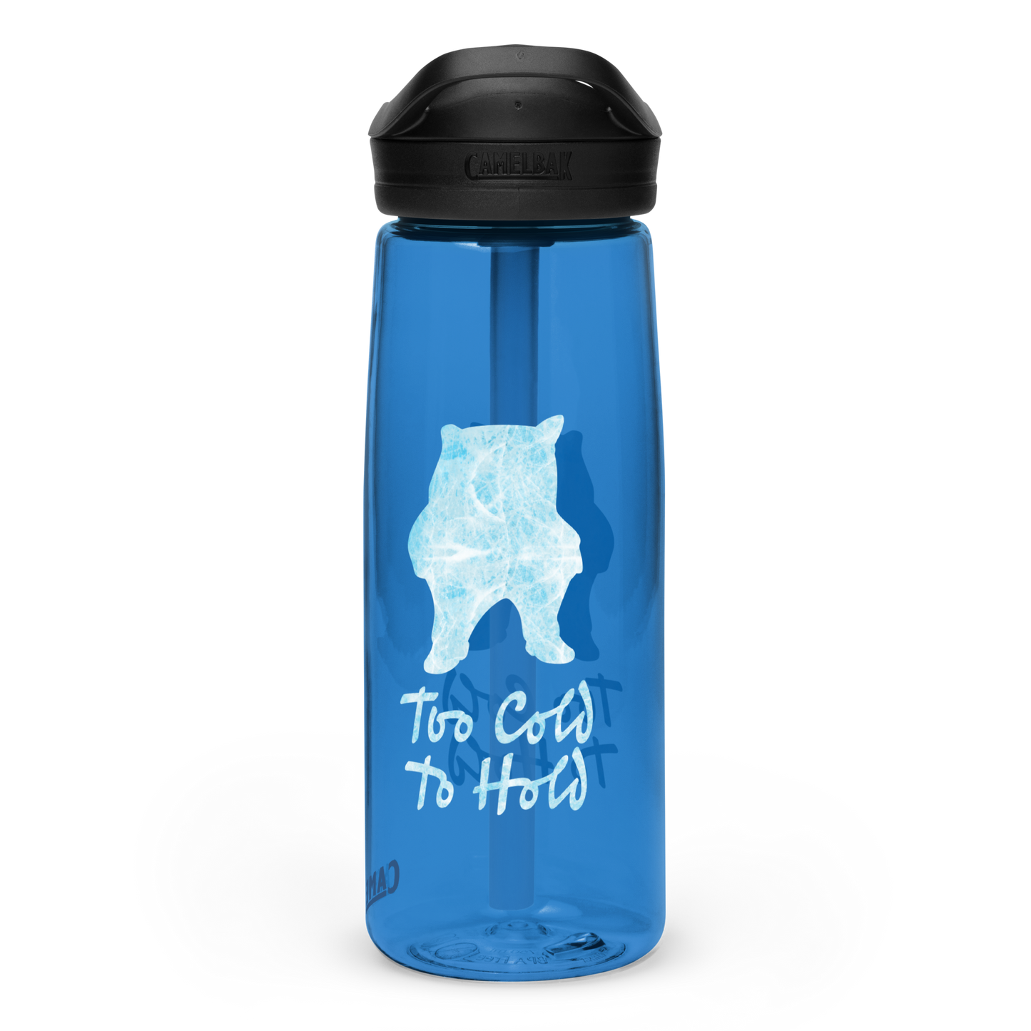 NAFO Too Cold Water Bottle