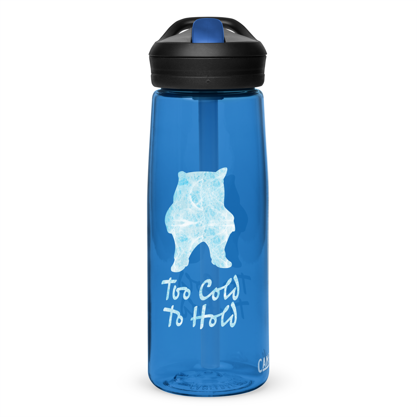 NAFO Too Cold Water Bottle